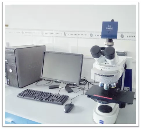 metallographic microscope